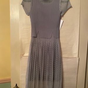 GORGEOUS SILVER GREY DRESS.  NWT